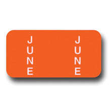 Load image into Gallery viewer, File Right™ Month Labels Service Department Alabama Independent Auto Dealers Association Store June
