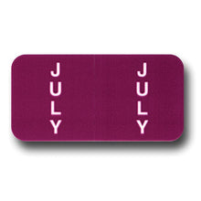 Load image into Gallery viewer, File Right™ Month Labels Service Department Alabama Independent Auto Dealers Association Store July