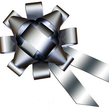 Load image into Gallery viewer, Car Bows Sales Department Alabama Independent Auto Dealers Association Store Silver Vinyl