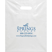 Load image into Gallery viewer, Custom Plastic Patch Handle Bags Sales Department Alabama Independent Auto Dealers Association Store 15" x 18" x 4" Bag