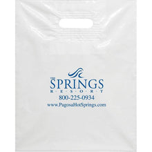 Load image into Gallery viewer, Custom Plastic Patch Handle Bags Sales Department Alabama Independent Auto Dealers Association Store 15&quot; x 18&quot; x 4&quot; Bag 
